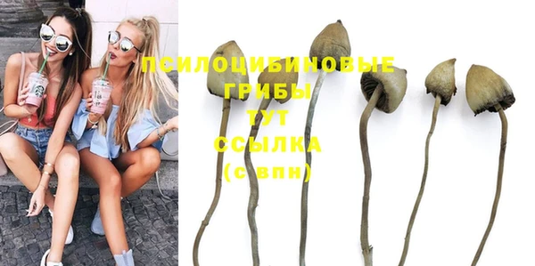 PSILOCYBIN Медногорск