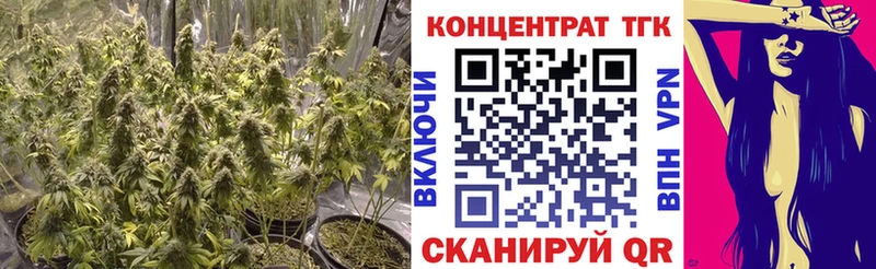 mega маркетплейс  Хасавюрт  Дистиллят ТГК THC oil  сколько стоит 