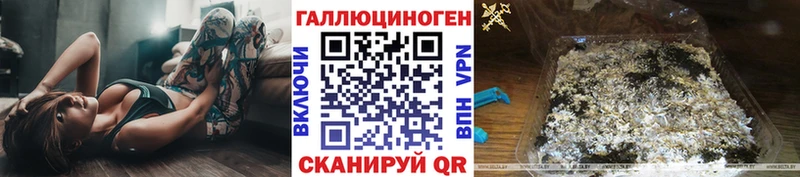 Псилоцибиновые грибы Cubensis  Хасавюрт 