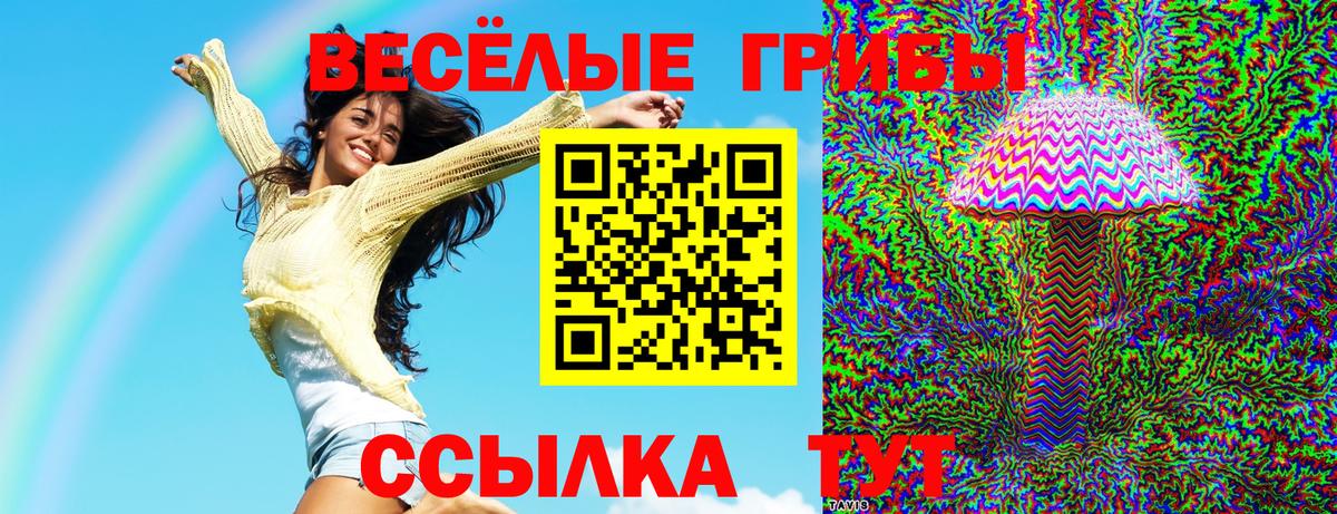 Галлюциногенные грибы MAGIC MUSHROOMS Хасавюрт