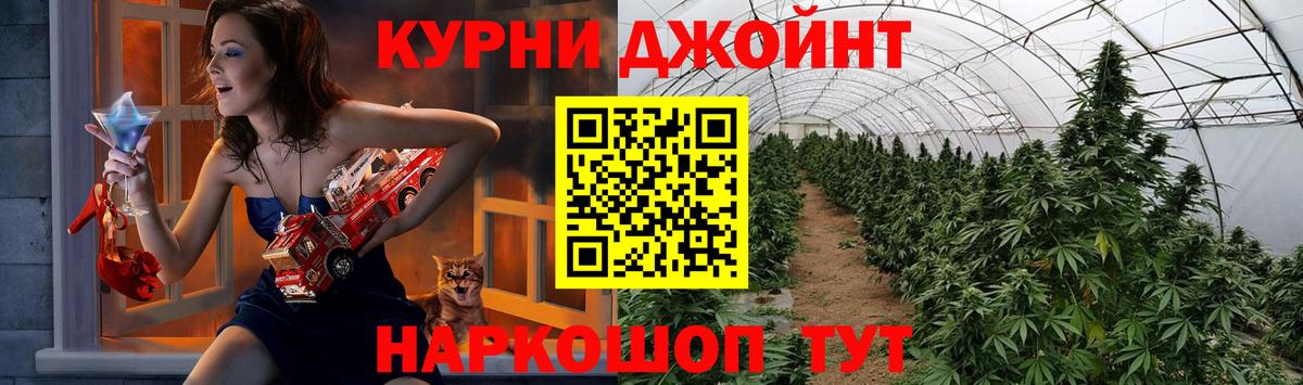 Каннабис марихуана  Марихуана план  Марихуана план  Хасавюрт  Канабис ГИДРОПОН  Вход с VPN 